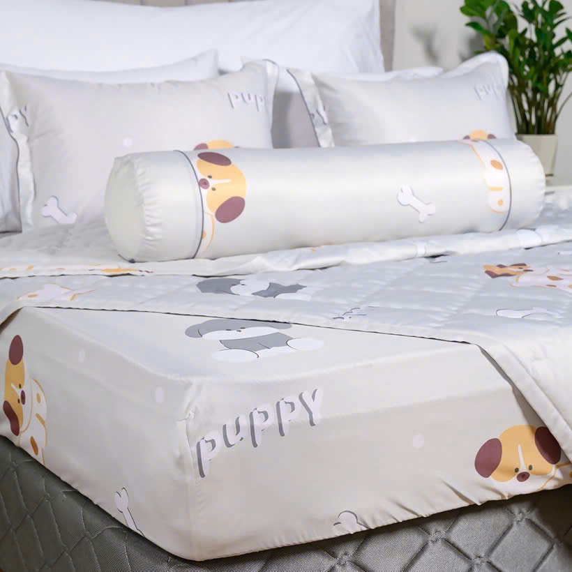 Bộ chun trần mặt