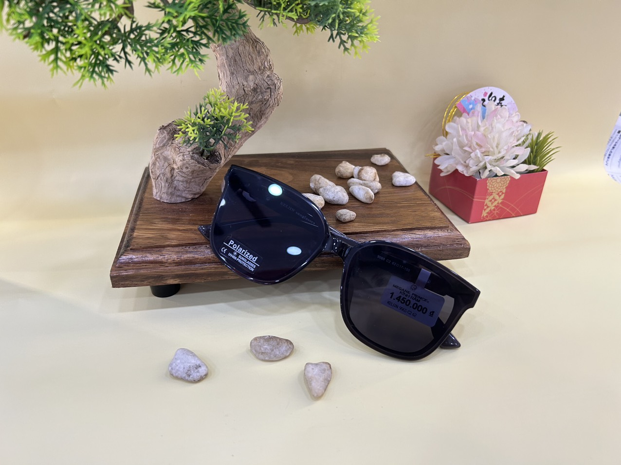 Kính mát KELIIN 9065 C2 62