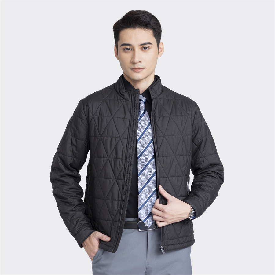 Áo khoác chần bông Aristino AJK055W3