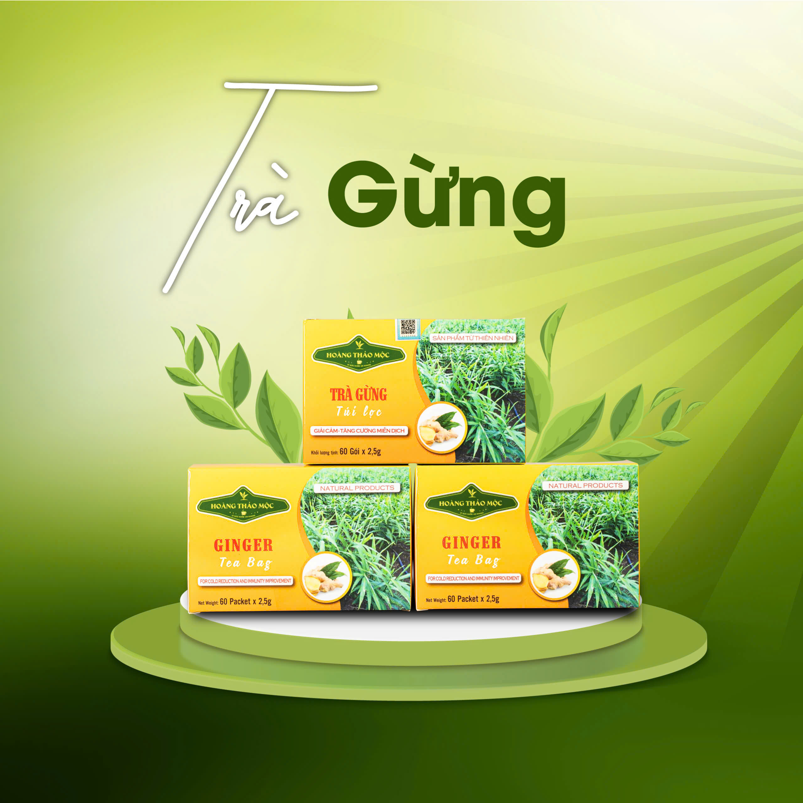 Trà Hoàng Thảo Mộc - Trà Gừng Túi Lọc - Ổn Định Tiêu Hoá, Giải Cảm Hiệu Quả