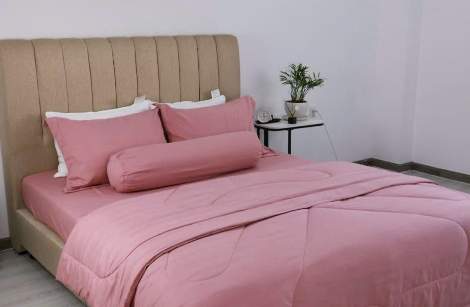 KOHNAN - NIN- Bộ Chăn Drap Classic 5 MÓN 1.8x2m màu ngẫu nhiên