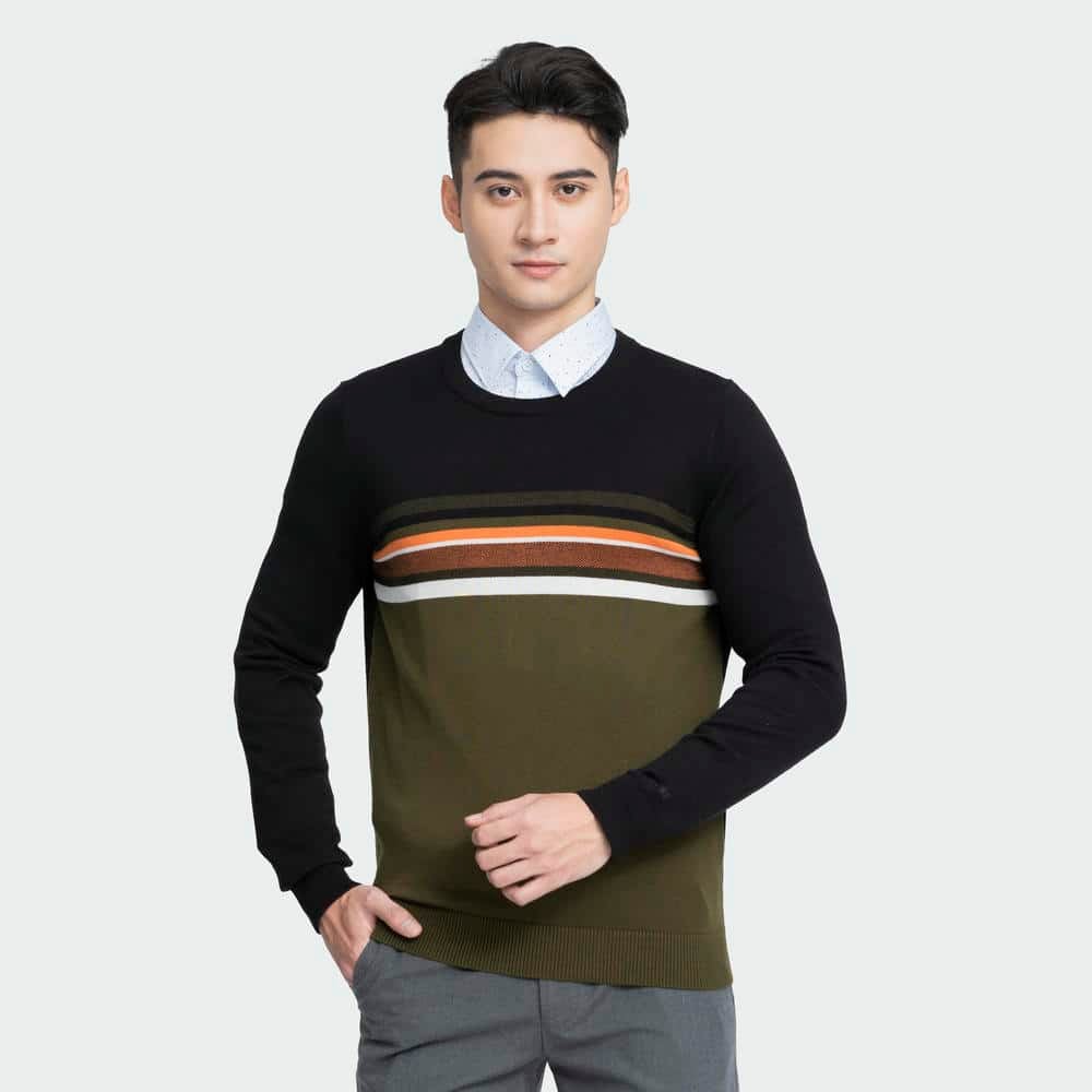 Aristino - Áo len Nam AWO003W3