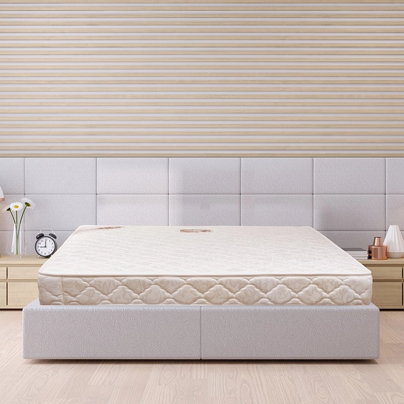 Đệm lò xo Appolo A201 120*200*21