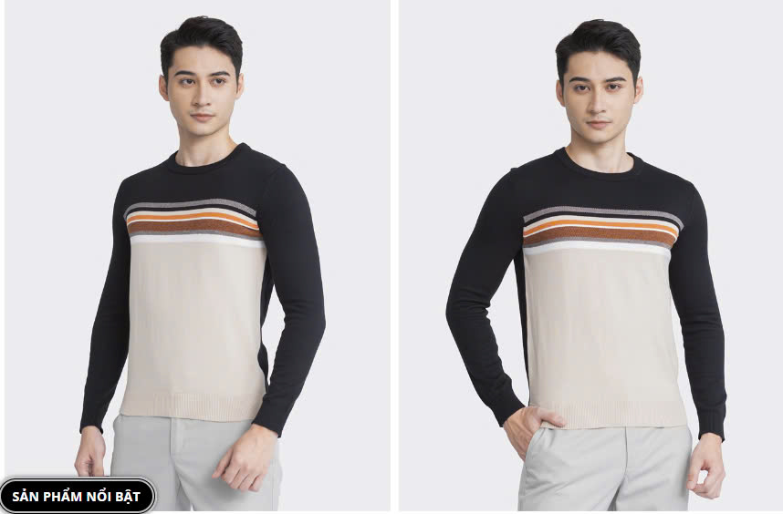 ARISTINO-Áo len nam Aristino AWO003W3