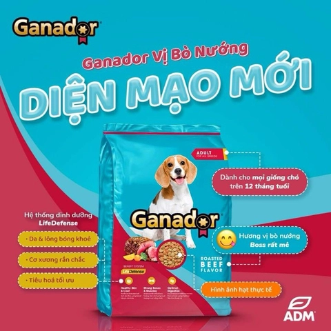 KOHNAN - 075933 Gran-Deli T.Ăn Chó Lớn Vị Bò 700g
