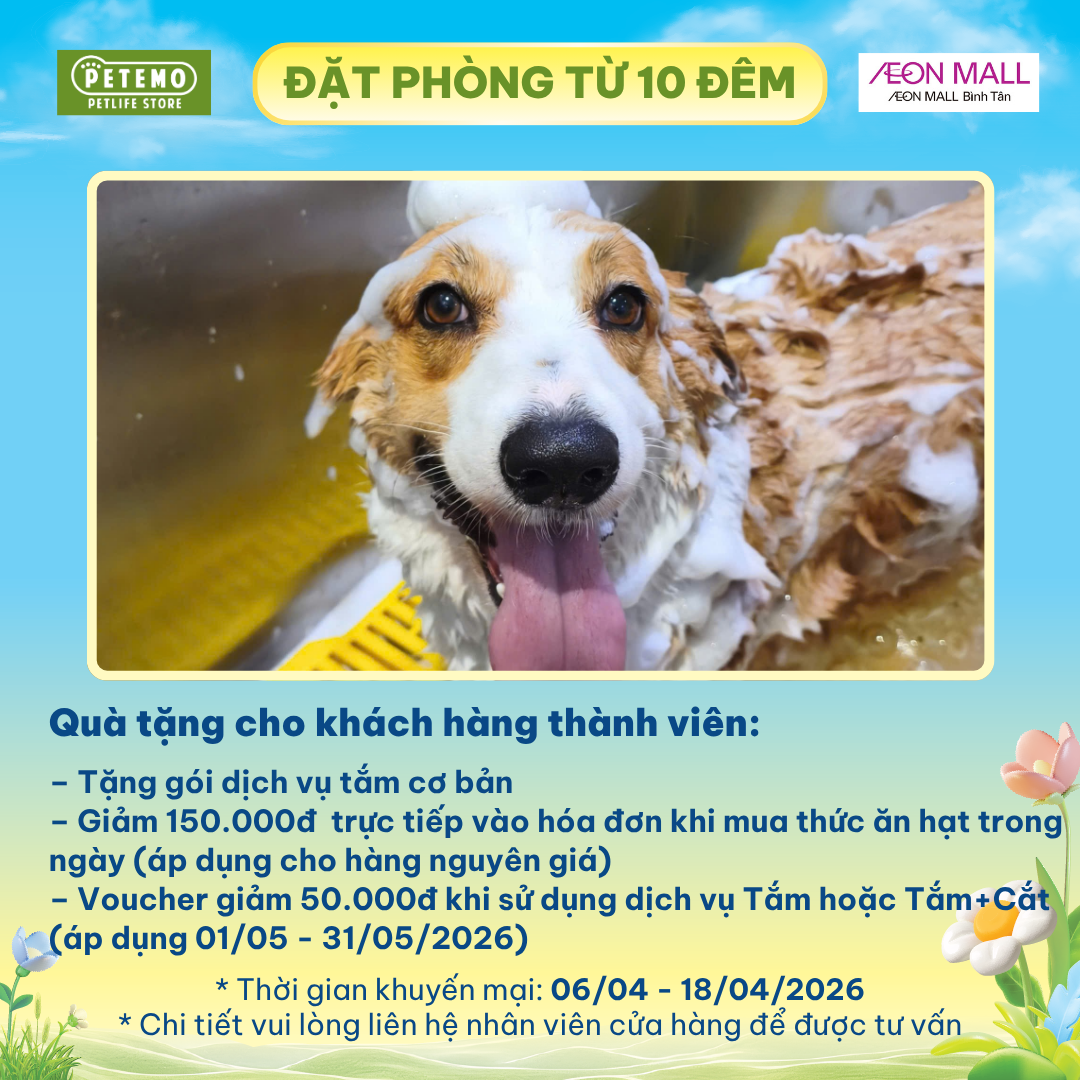 SEN ĐI CHƠI – BOSS NGHỈ DƯỠNG CHUẨN 5 TẠI PETEMO