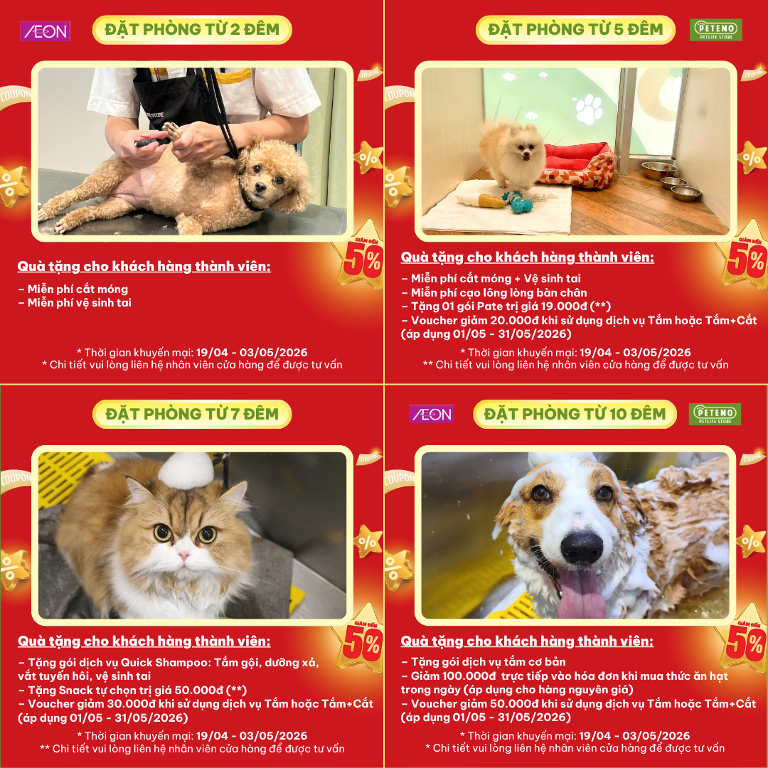 LỄ NÀY SEN ĐI CHƠI… BOSS CŨNG PHẢI “ĐI NGHỈ DƯỠNG” CHỨ