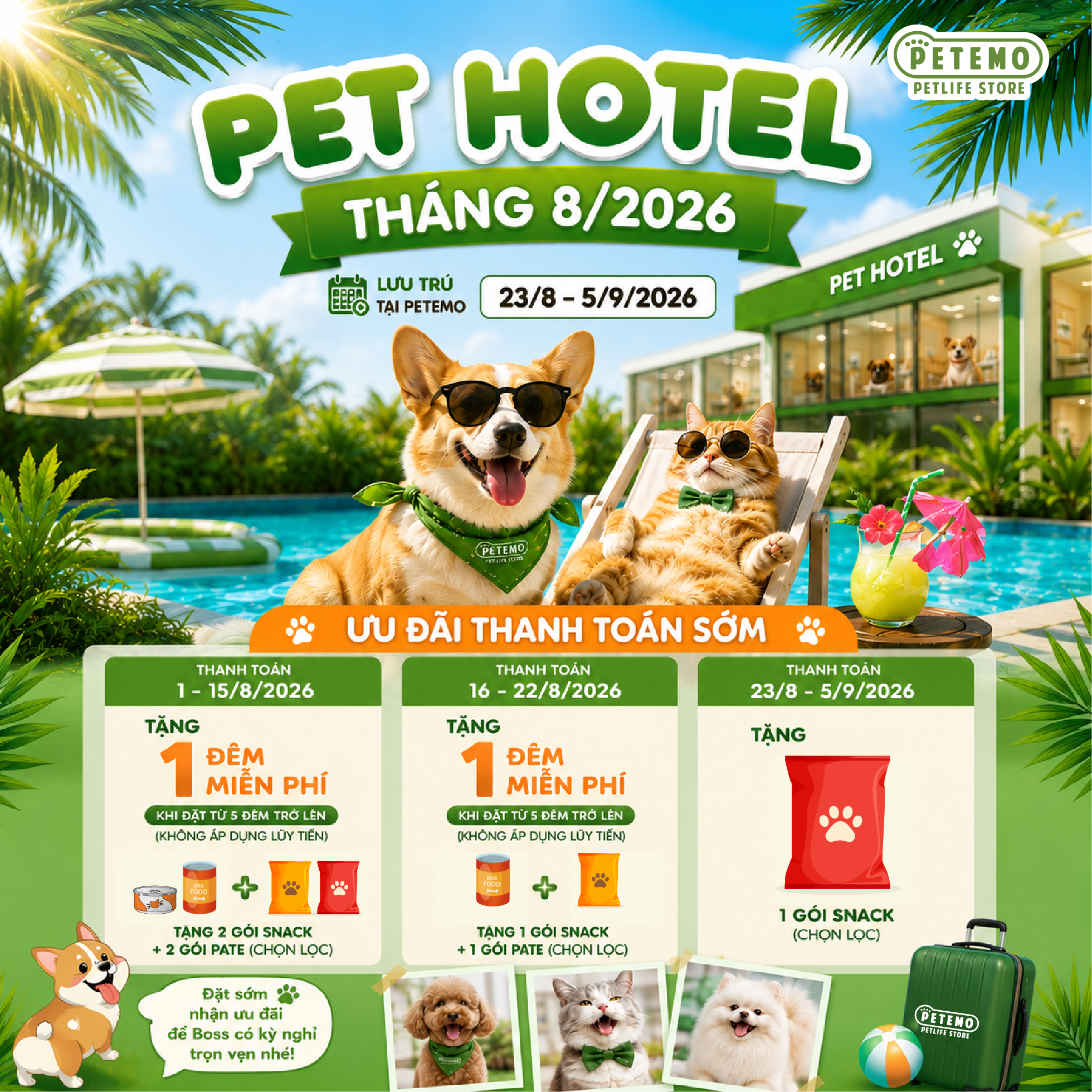 🏨ĐẶT PHÒNG SỚM – ƯU ĐÃI LỚN: PET HOTEL DÀNH CHO KỲ NGHỈ LỄ 2/9  🐶💚😽