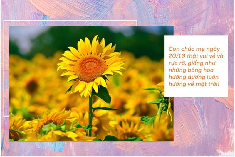 Hoa hướng dương vàng rực rỡ kèm lời chúc 20/10 gửi đến người phụ nữ bạn yêu quý. (Nguồn: Internet)