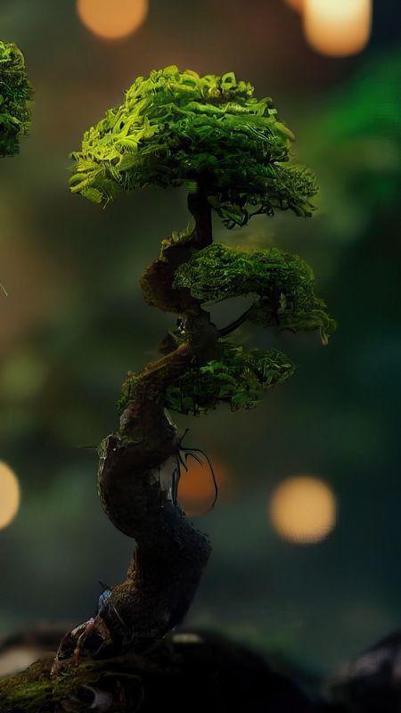 Hình nền cây xanh phong thủy mang lại sự cân bằng và kích hoạt năng lượng may mắn cho người mệnh Mộc (Nguồn: Internet)