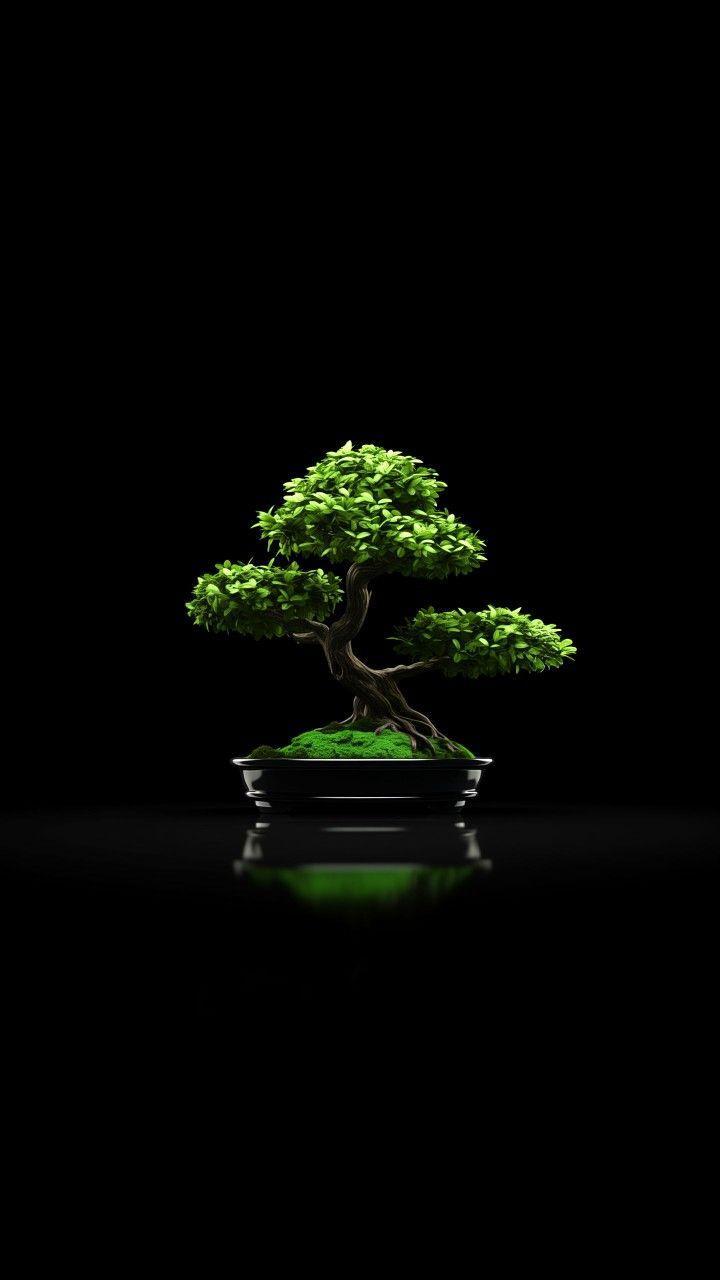 Hình nền cây xanh phong thủy mang lại sự cân bằng và kích hoạt năng lượng may mắn cho người mệnh Mộc (Nguồn: Internet)