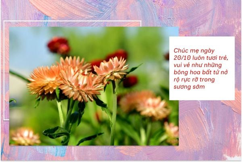 Hình ảnh hoa màu cam đi cùng lời chúc 20/10 mang thông điệp tươi vui, ấm áp. (Nguồn: Internet)