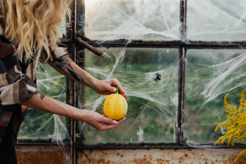 Bí ngô, mạng nhện giả và ánh đèn vàng biến phòng khách thành không gian Halloween ấm áp nhưng vẫn ma mị. (Nguồn: Internet)