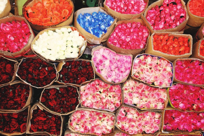 Sắc hoa rực rỡ suốt ngày đêm tại chợ Hồ Thị Kỷ (Nguồn: Internet)