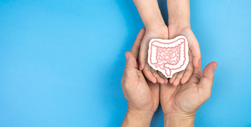 Hệ tiêu hóa của trẻ khỏe mạnh giúp hấp thụ dưỡng chất tốt hơn (Nguồn: Internet)