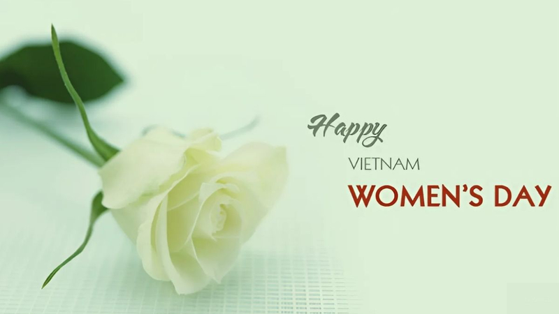 Mẫu background 20/10 màu xanh lá nhẹ nhàng với hình ảnh hoa hồng trắng tinh tế. (Nguồn: Internet)