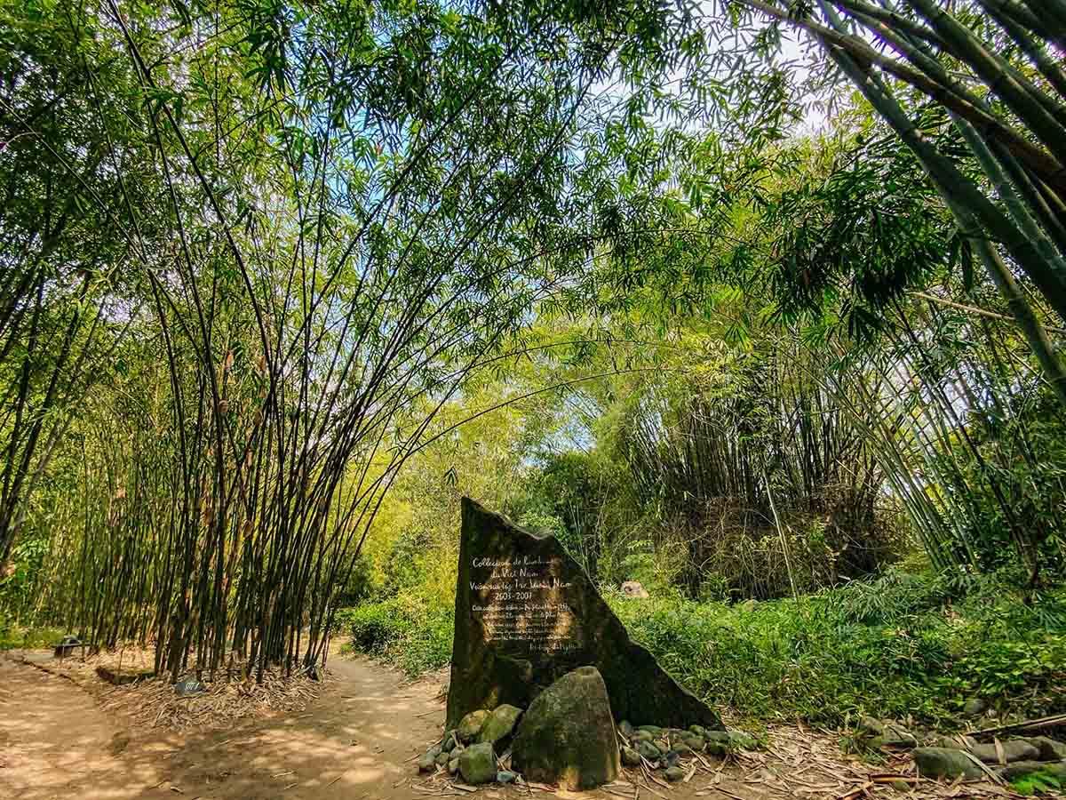 Làng Tre Phú An hấp dẫn với không gian thiên nhiên yên bình và độc đáo (Nguồn: Internet)