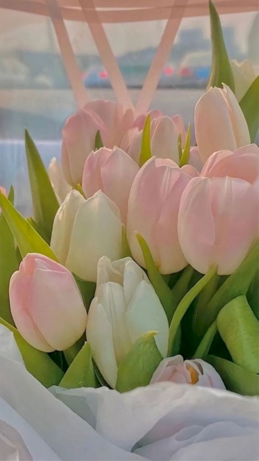 Vẻ đẹp hiện đại và sang trọng từ những đóa Tulip (Nguồn: Internet)