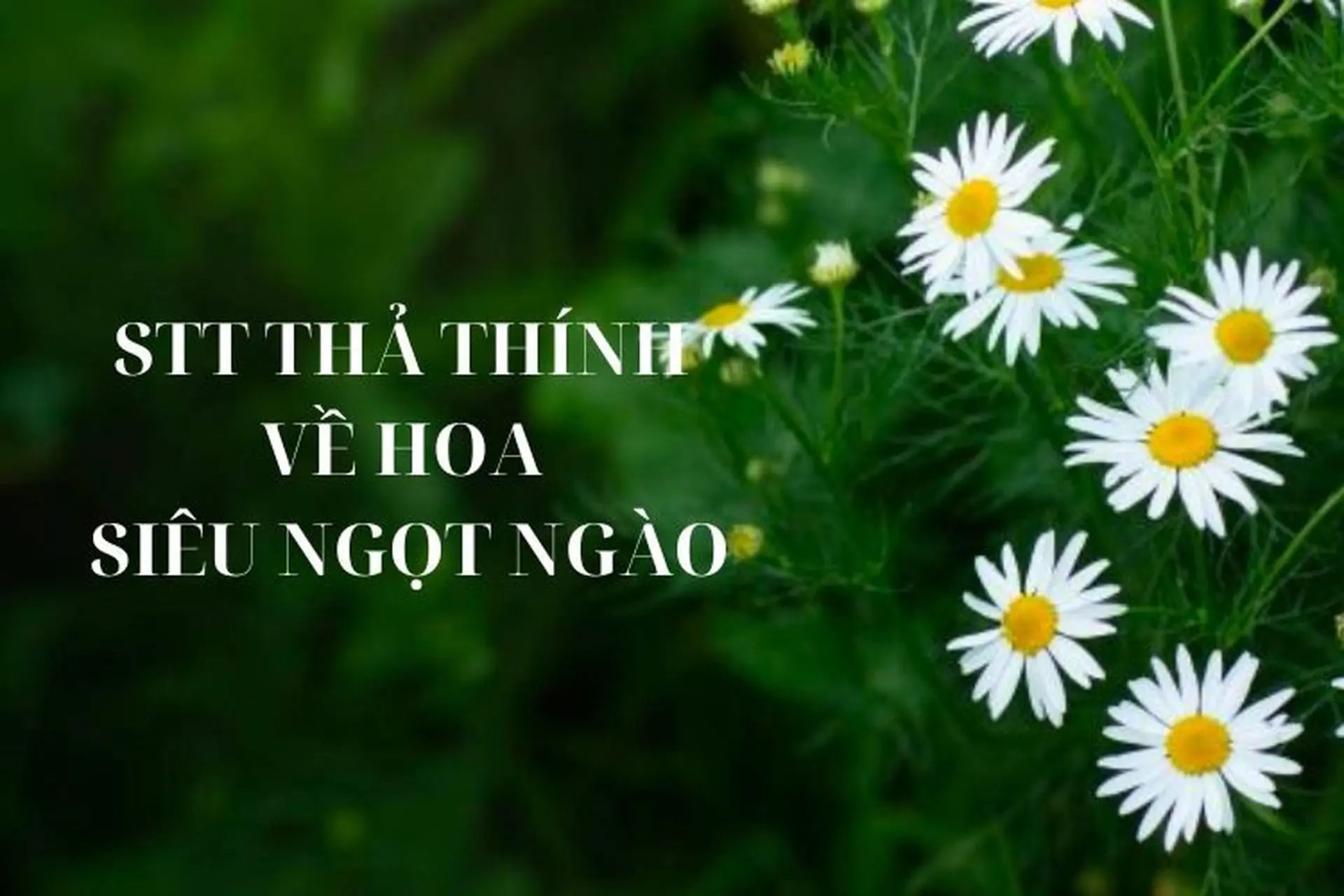 Những câu thả thính bá đạo mang đến sự vui vẻ và giúp cuộc trò chuyện trở nên thú vị hơn. (Nguồn: Internet)