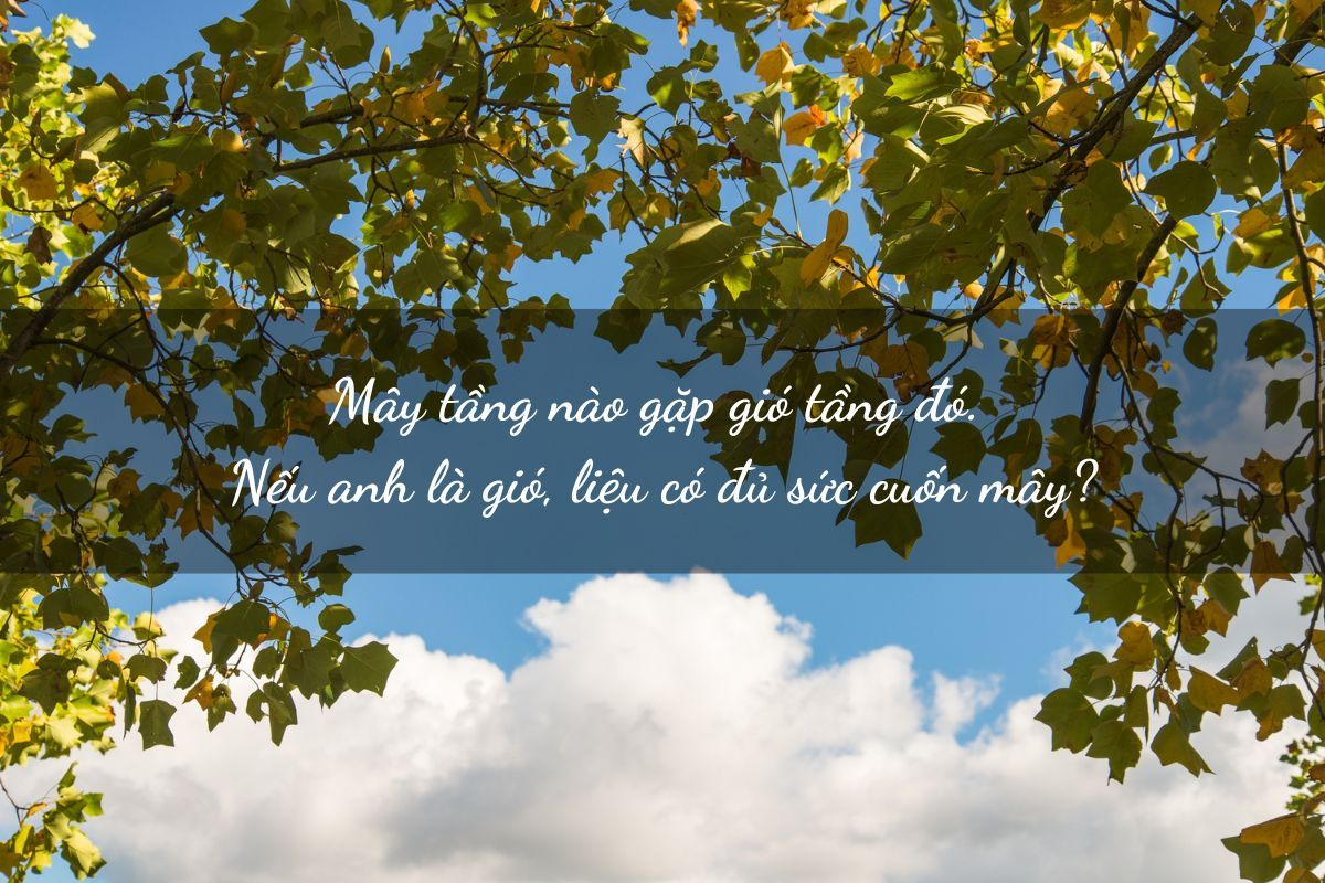 Những STT thả thính crush siêu yêu giúp bạn thể hiện tình cảm một cách dễ thương và tinh tế. (Nguồn: Internet)
