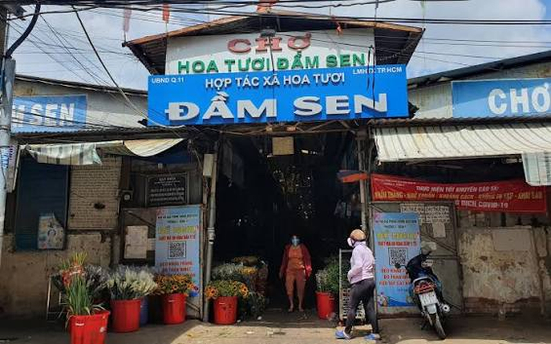 Chợ hoa Đầm Sen có nhiều loại hoa trong nước và hoa nhập khẩu, phục vụ nhu cầu mua sỉ lẫn mua lẻ. (Nguồn: Internet)