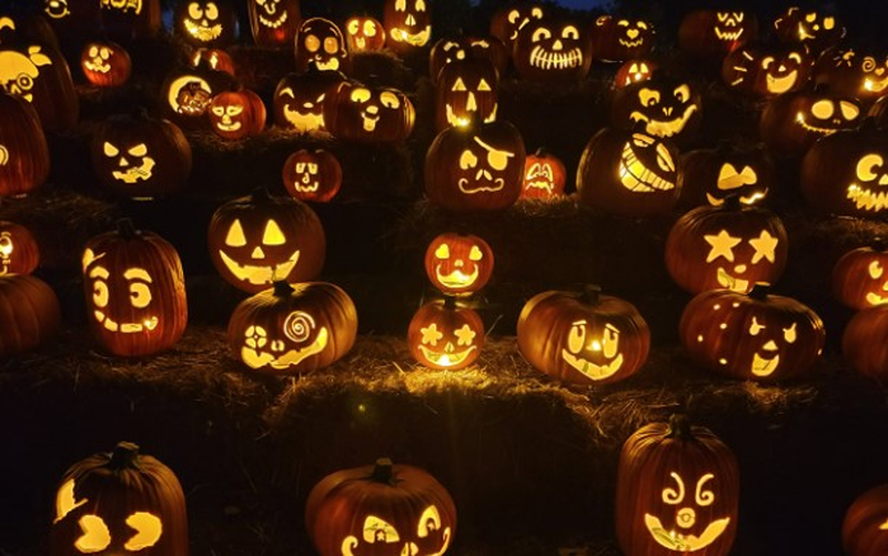 Người tham gia khoét và tạo hình khuôn mặt trên quả bí ngô để làm đèn Jack-o’-lantern. (Nguồn: Internet)