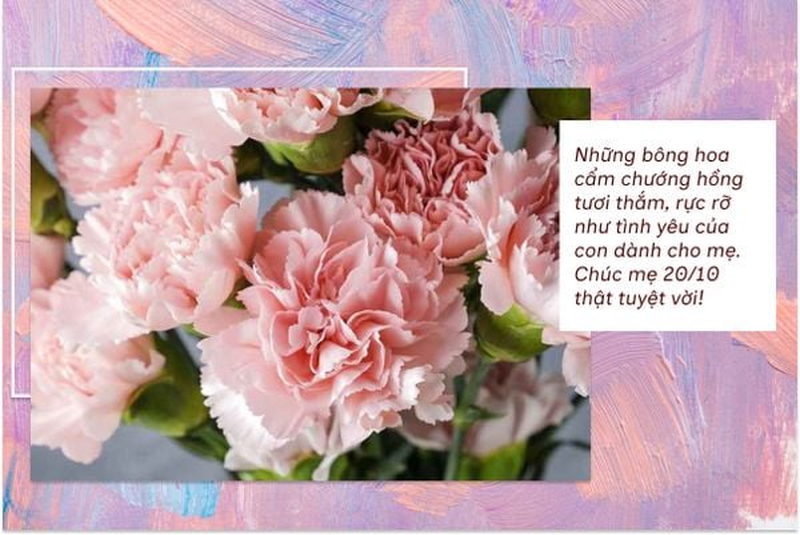 Những bông cẩm chướng hồng tượng trưng cho tình cảm và lời tri ân dành tặng mẹ. (Nguồn: Internet)