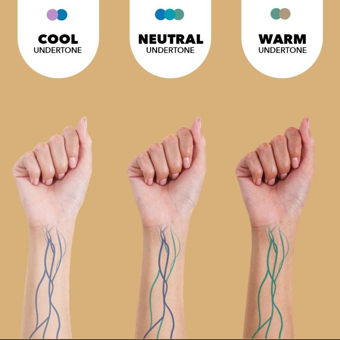 3 loại undertone da warm, cool, neutral với màu sắc đặc trưng (Nguồn: Internet)