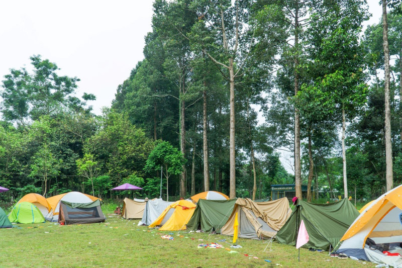 Điểm cắm trại vườn quốc gia Cát Tiên (Nguồn: Internet)