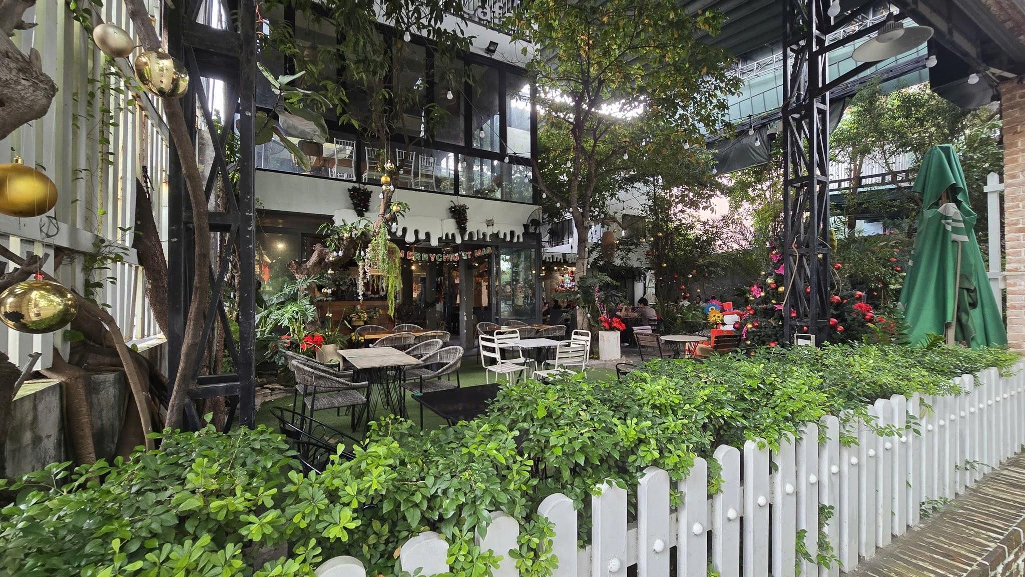 Cao’s Café với không gian sân vườn nhiều cây xanh thông thoáng (Nguồn: Internet)