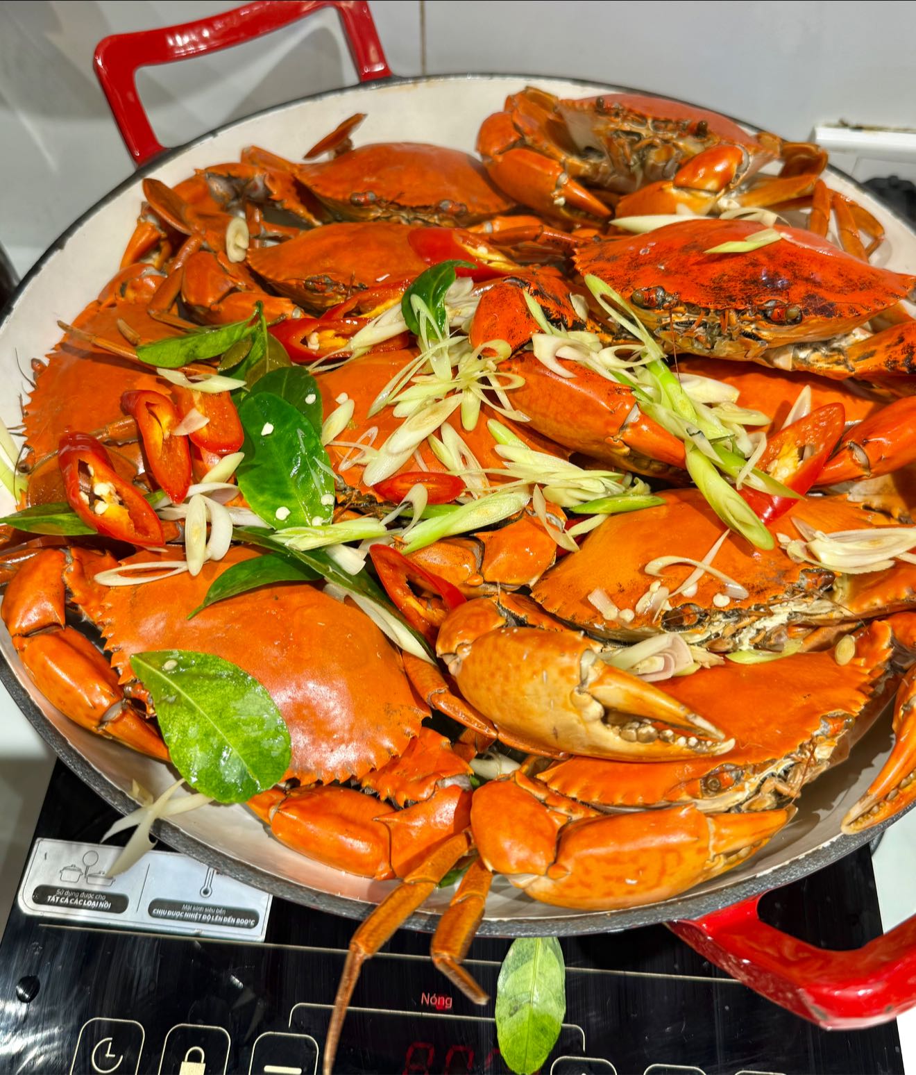 [DỰ KIẾN KHAI TRƯƠNG THÁNG 11] N'RONA