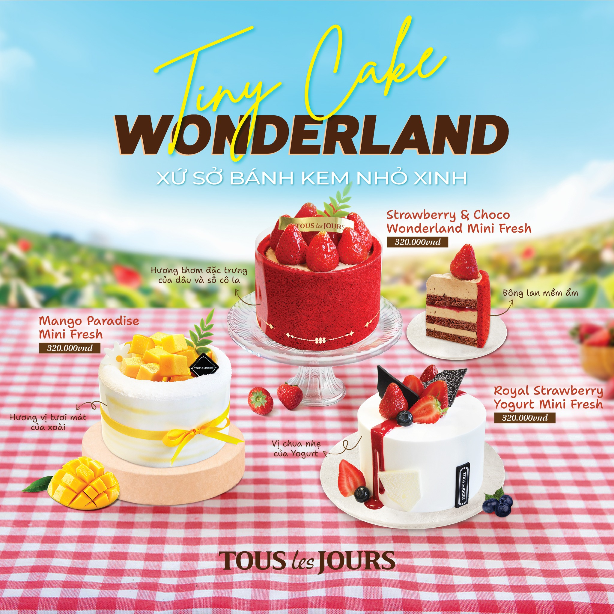 Mini Cake có thiết kế xinh xắn và tiện lợi (Nguồn: Internet)