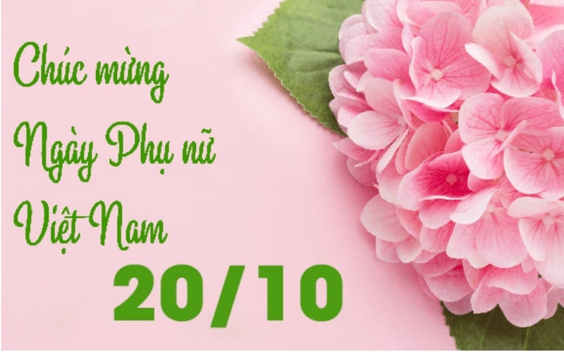 Background 20/10 màu hồng kết hợp hoa cẩm tú cầu, phù hợp với phong cách nhẹ nhàng. (Nguồn: Internet)
