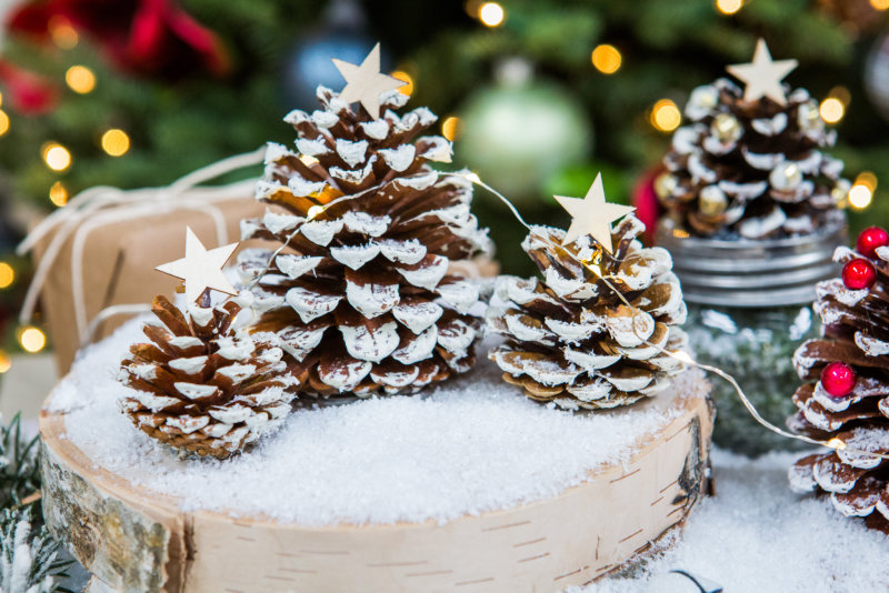 Quả thông mang ý nghĩa của sự mộc mạc và may mắn (Nguồn: Internet) Quả thông mang ý nghĩa của sự mộc mạc và may mắn (Nguồn: Internet)