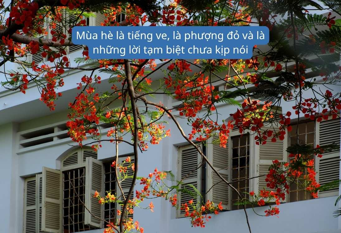 Lưu giữ những năm tháng thanh xuân rực rỡ nhất cùng hội bạn thân (Nguồn: Internet)