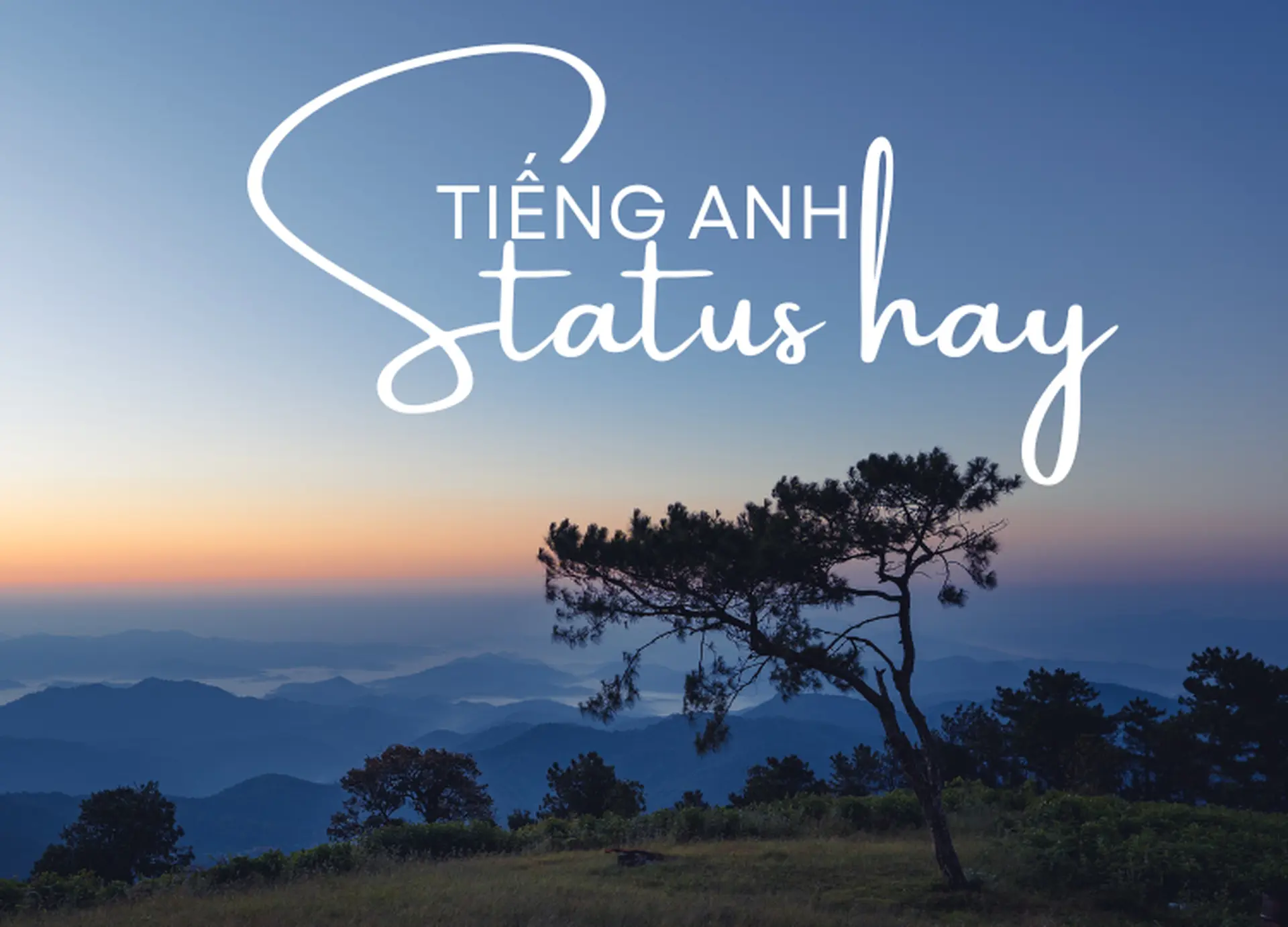 Status tiếng Anh giúp trang cá nhân trở nên tinh tế hơn (Nguồn: Internet)