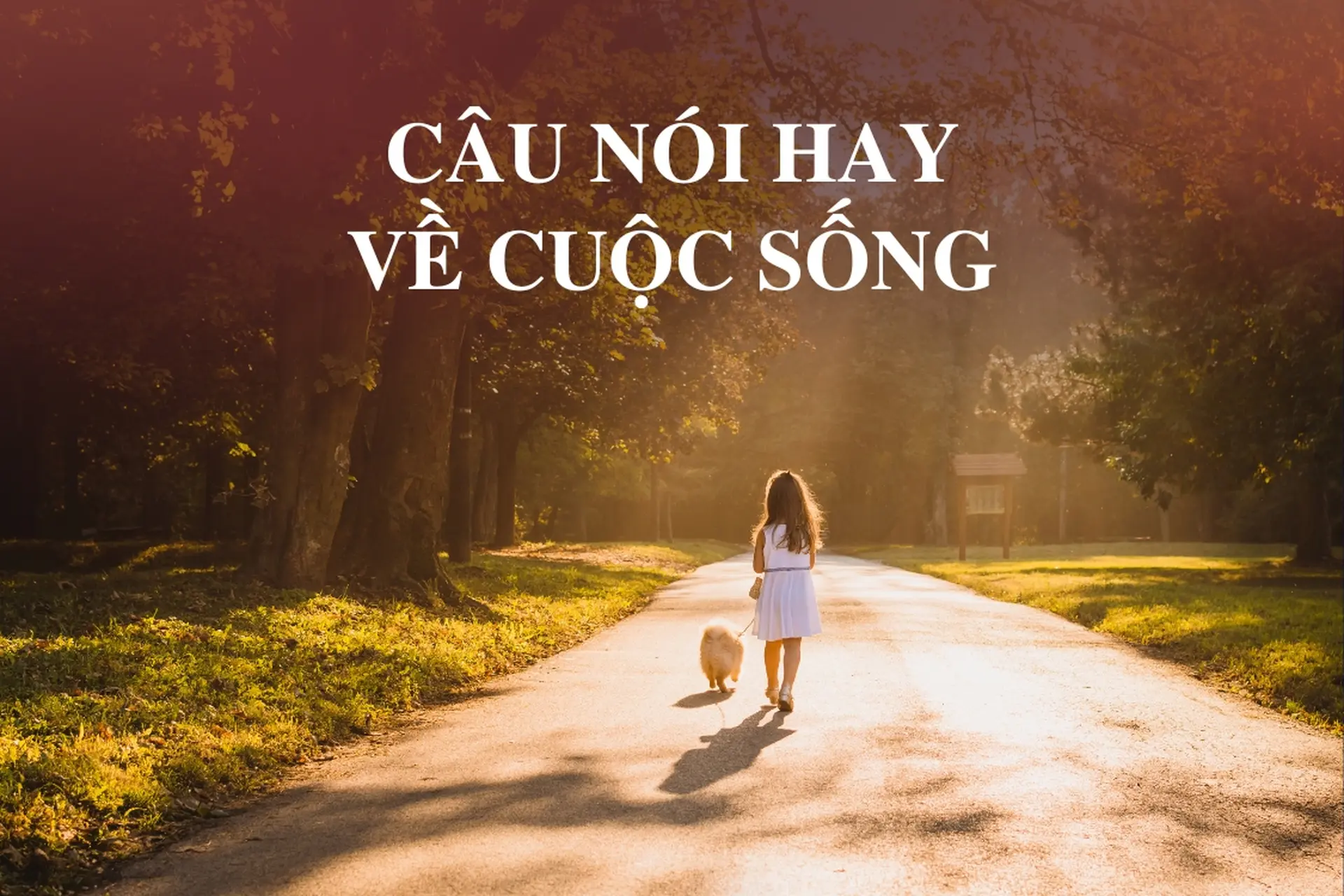 Những STT hay về cuộc đời giúp bạn thêm mạnh mẽ và tích cực trước mọi thử thách. (Nguồn: Internet)