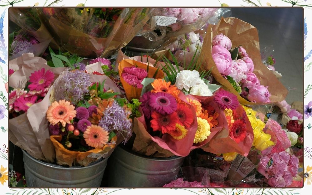 50+ Câu Chúc 8/3 Hay Và Ý Nghĩa Nhất 2026