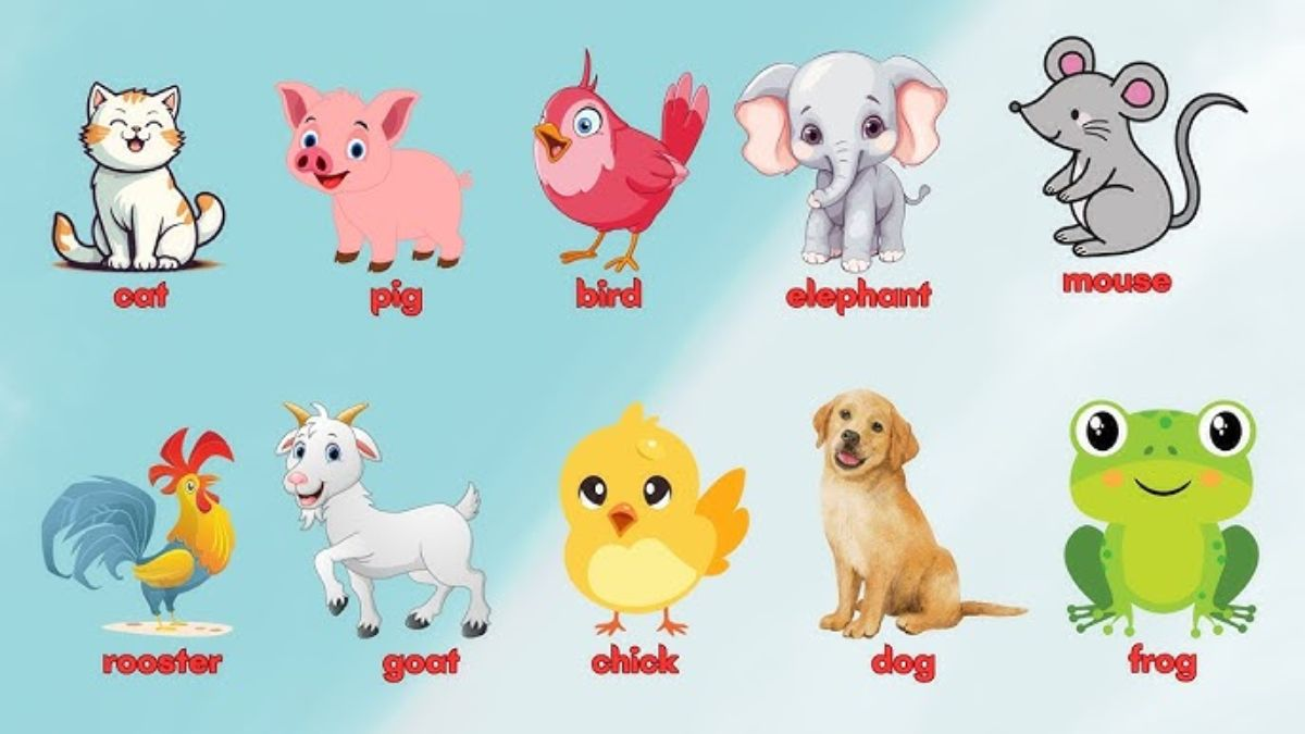 Câu đố trẻ em 7 tuổi: Tổng hợp câu đố vui giúp bé vừa học vừa chơi cực thú vị