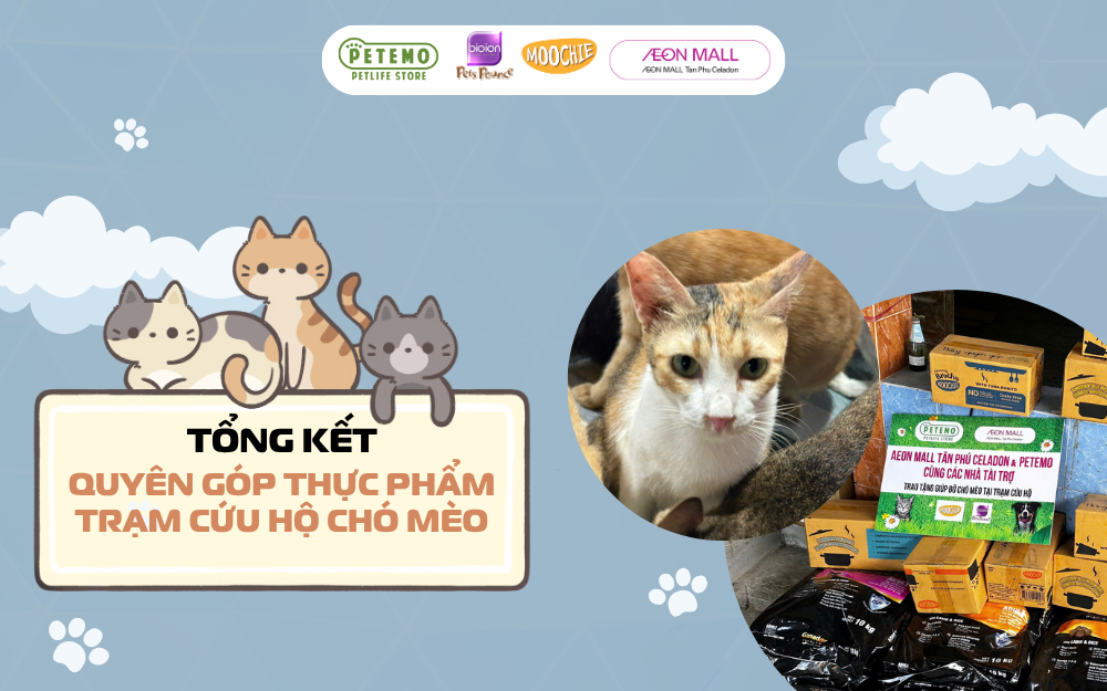 TỔNG KẾT CHƯƠNG TRÌNH "QUYÊN GÓP VÌ CHÓ MÈO BỊ BỎ RƠI"