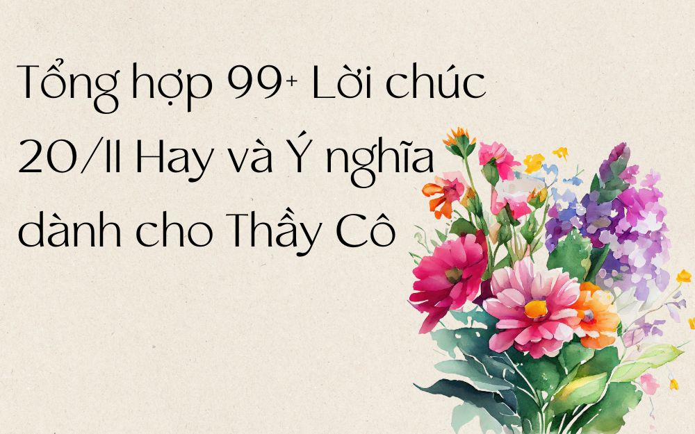 Tổng hợp 99+ Lời chúc 20/11 Hay và Ý nghĩa dành cho Thầy Cô