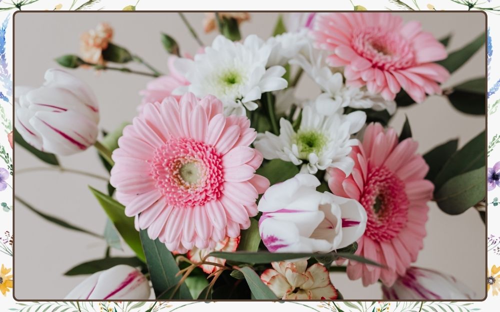 Những Loài Hoa Đẹp Và Ý Nghĩa Nhất Cho Ngày 8/3