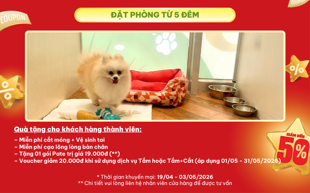 PETEMO - LỄ NÀY SEN ĐI CHƠI… BOSS CŨNG PHẢI “ĐI NGHỈ DƯỠNG” CHỨ!