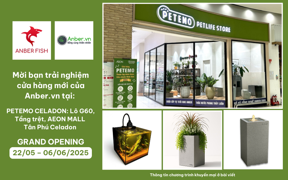 TƯNG BỪNG KHAI TRƯƠNG – ƯU ĐÃI NGẬP TRÀN ANBER.VN