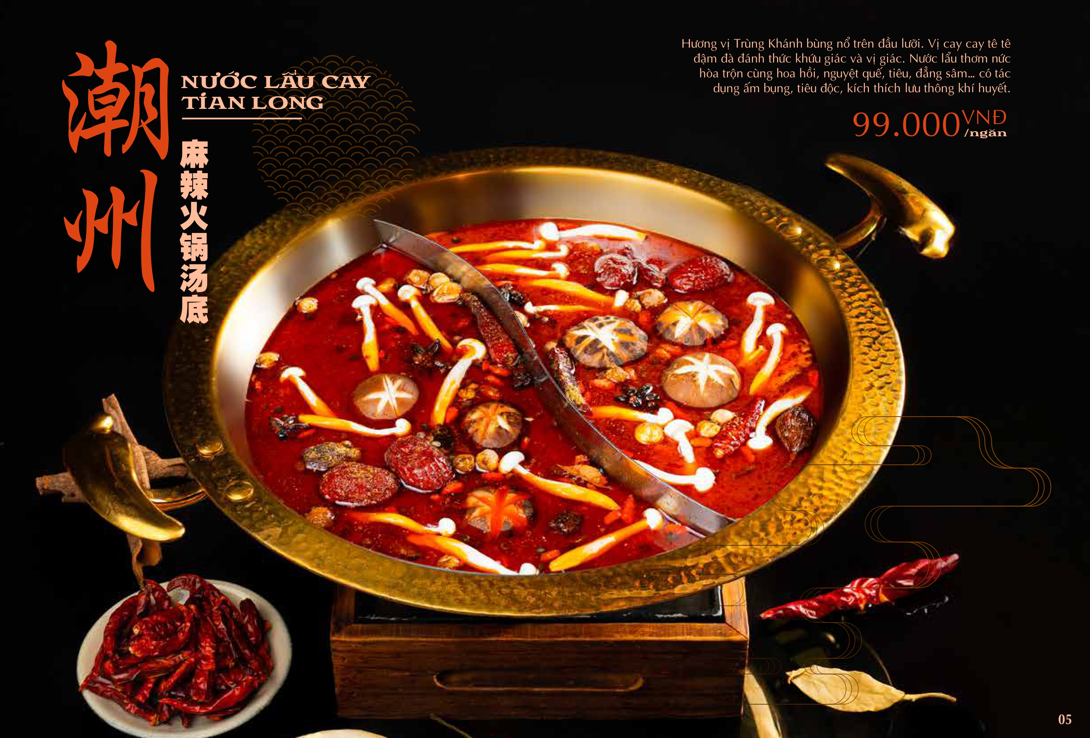 TIAN LONG