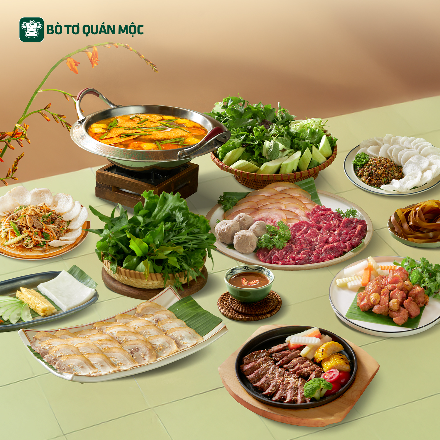 BÒ TƠ QUÁN MỘC