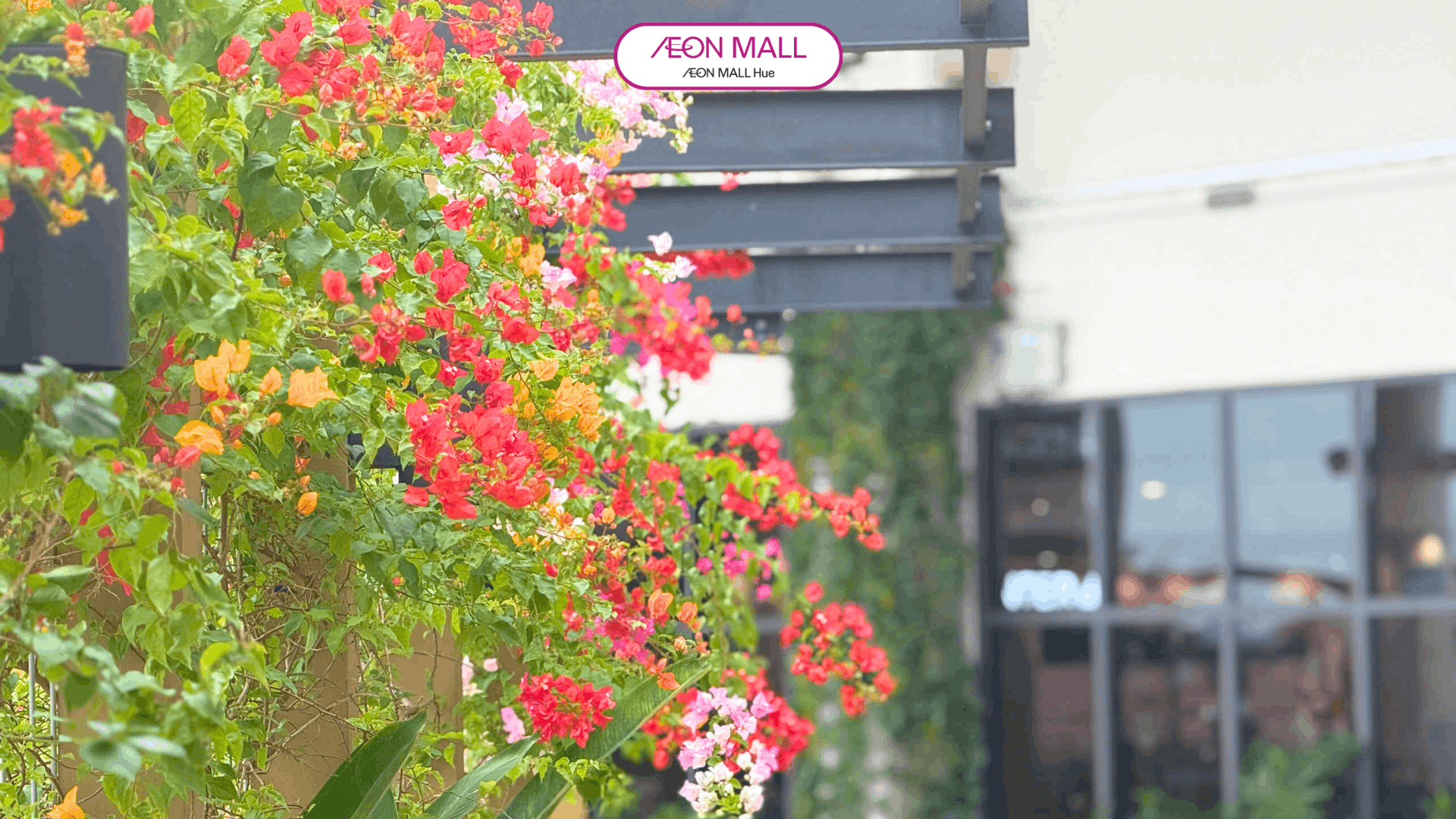 Phát Hiện Không Gian Cực Kỳ Thư Giãn Tại AEON MALL Huế