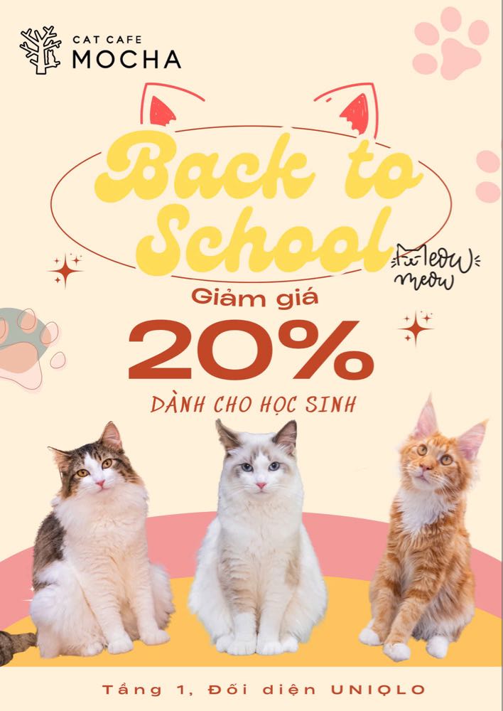 ☕️ CAT CAFÉ MOCHA – ƯU ĐÃI ĐẶC BIỆT DÀNH RIÊNG CHO HỌC SINH, SINH VIÊN! 🎓