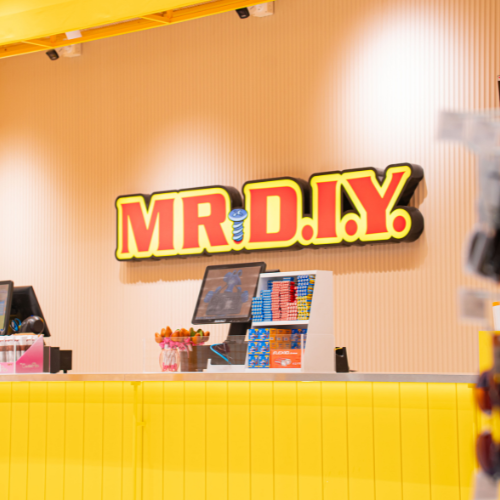 MR. D.I.Y