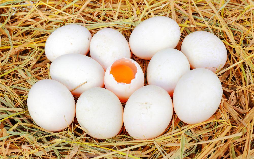 Người bị tiểu đường có ăn được trứng vịt không​ và nên ăn bao nhiêu là hợp lý?